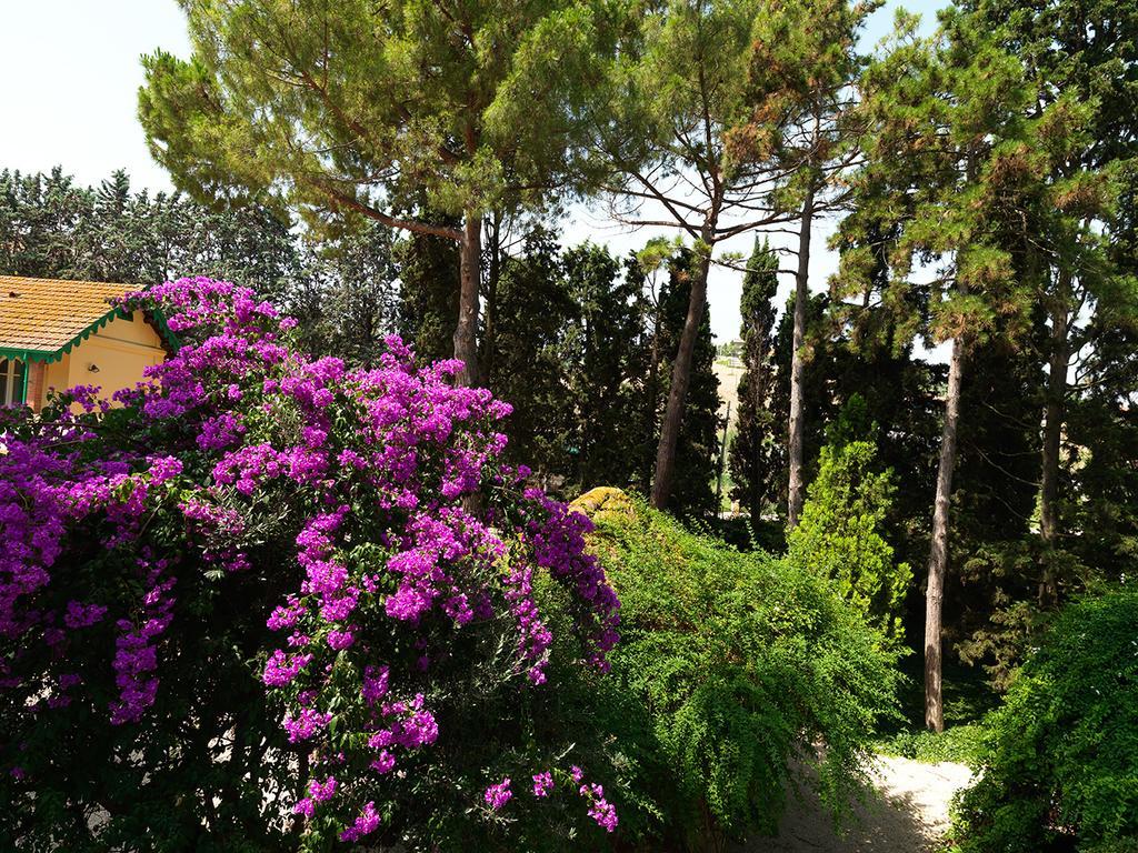 Villa Rosella Resort Roseto Degli Abruzzi Zewnętrze zdjęcie